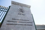 Официальный Пекин о реформе ВТО. Почему сейчас?