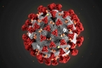 Telegraph: ученые КНР планировали заразить летучих мышей коронавирусами еще до пандемии