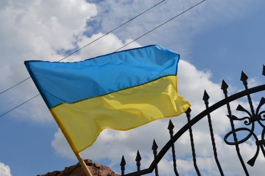 Коэн: внутренние проблемы мешают Украине избавиться от зависимости от России