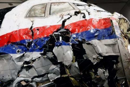 Представитель РФ в ЕСПЧ призвал отклонить обвинения Нидерландов и Украины в крушении MH17