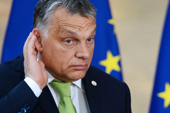 Удар по своим: пойдут ли США на санкции против Венгрии?