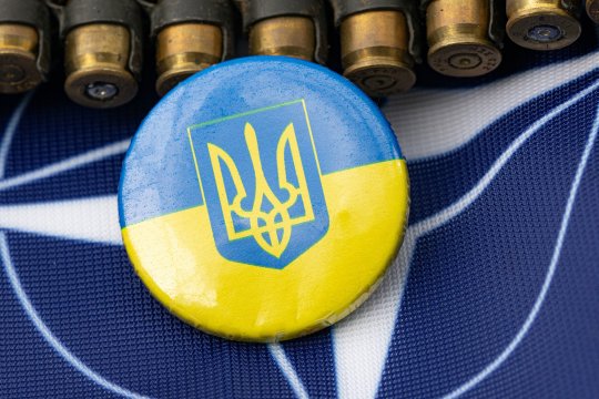 Реальность натовских перспектив Украины, или желание Украины и планы Вашингтона