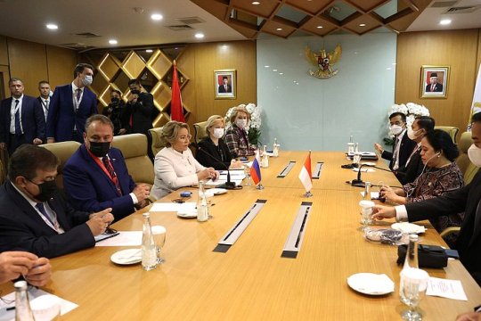 Председатель Совета Федерации встретилась с Председателем Совета народных представителей Республики Индонезии