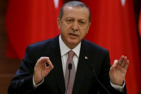 Эрдоган заявил о праве Турции решать проблемы на севере Сирии самостоятельно