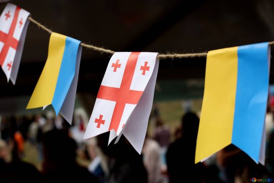 В Грузии заявили об отказе помогать Украине оружием