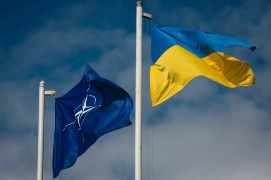 Эксперт рассказал о планах Зеленского по непосредственному вовлечению НАТО в конфликт на Украине