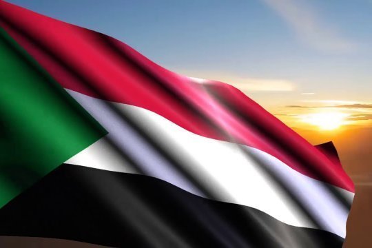 В Посольстве РФ в Судане приняли около 140 заявок на эвакуацию из страны