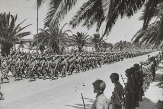 К 80-летитию победы над нацизмом в Африке