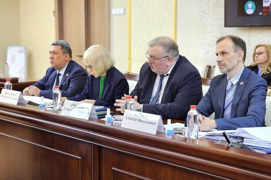 Российские и белорусские парламентарии обсудили процесс подготовки, рассмотрения и принятия модельных законодательных актов
