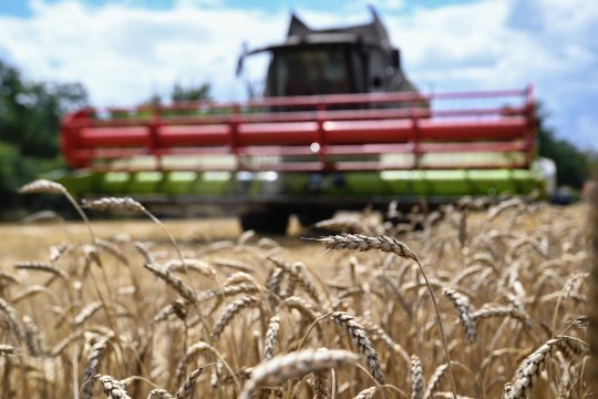 Власти Польши и Венгрии продлят запрет на ввоз зерна с Украины вопреки решению Еврокомиссии
