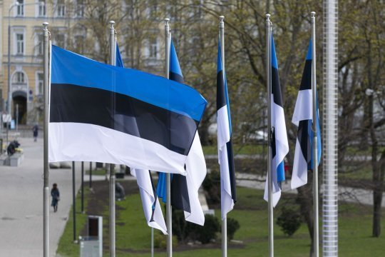 В МО Эстонии рассказали о помощи с закупкой оружия для ВСУ на мировых рынках 