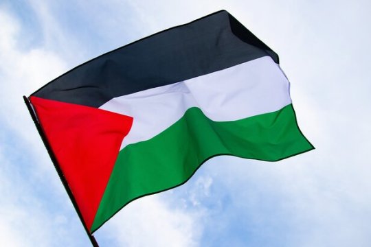 День солидарности с народом Палестины