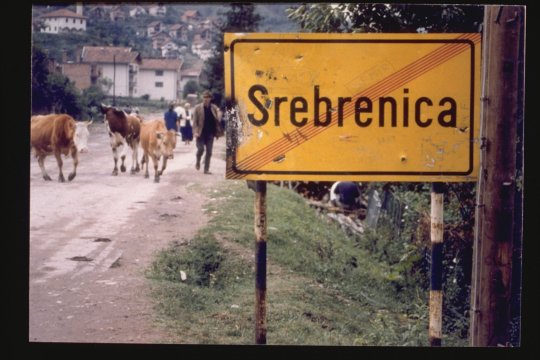 Елена Гуськова: Никакого геноцида в Сребренице не было 