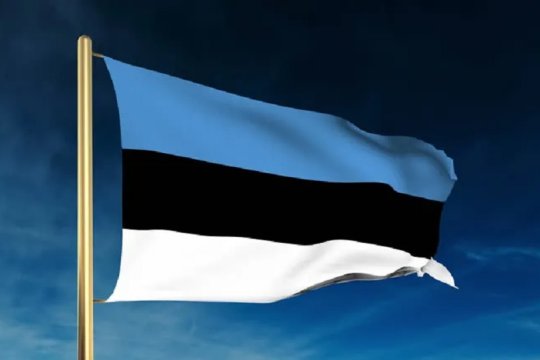 Посол Эстонии заявила о готовности обсуждать отправку войск на Украину