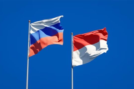 ВМС России и Индонезии начали первые совместные военно-морские учения