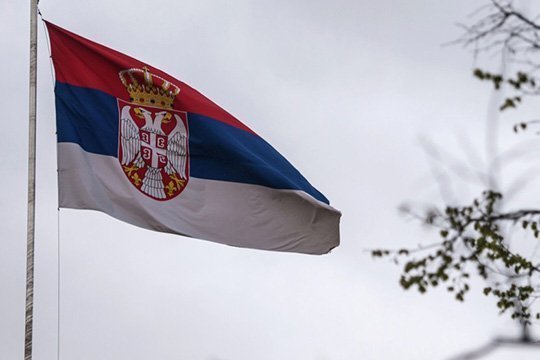 Янич назвал Украину четким примером ревизии истории