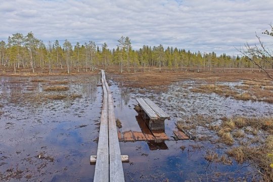 «Болотное дело» - к оборонной стратегии лимитрофов Запада
