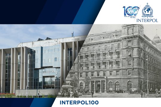 Интерпол в деталях