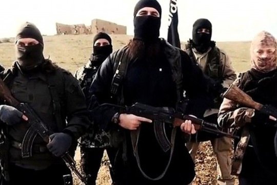 В ИГИЛ* объявили о «новом этапе» операций против властей Сирии
