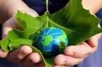 Украина: госбюджет на экологию