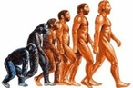 Опровергнуто одно из ключевых представлений об эволюции