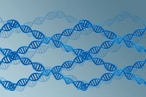 Биохимики сделали большой шаг к созданию ДНК-компьютеров
