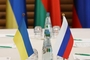 Российско-украинские переговоры начались в Стамбуле – ТАСС
