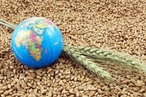 Эксперт оценил перспективы роста мировых цен на продовольствие