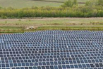 В России заработала новая солнечная электростанция