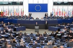 Европарламент обидел «любимую жену» – Свободу Слова