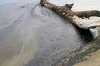 Томские ученые разработали экологичный метод очистки озер от нефти