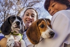 В США родились первые в мире щенки «из пробирки»