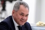 Шойгу напомнил странам Прибалтики о праве РФ на самооборону