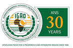 «ИГАД – роль региональных организаций в урегулировании вооруженных конфликтов»