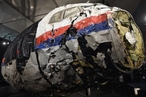 Депутаты парламента Нидерландов потребовали изучить роль Украины в гибели MH17