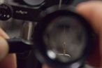 Лазеры увеличили чувствительность микроскопов в 20 раз