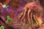 Ученые выяснили, как раковые клетки обманывают иммунную систему