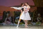 Три страны - один шедевр: балет «Тщетная предосторожность» в Михайловском театре