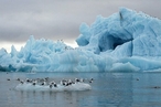 Арктика: новая повестка