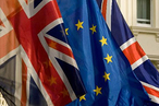 Готова ли Великобритания играть по правилам ЕС при выстраивании отношений с США?