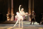 «Элегантная красота классического танца» артистов балета Мариинского театра покоряет страны АТР