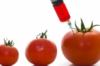 Ученые научились получать ГМ-овощи и фрукты без косточек