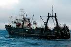 Париж отложил решение о введении санкций против рыбной промышленности Британии. 