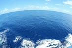 Проблемы Мирового океана и международные организации