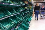 The Telegraph: Великобритания может столкнуться с продовольственным кризисом