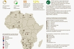 Борьба за ресурсы Африки