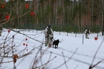 В Беларуси сообщили о сосредоточении крупной группировки украинской армии на границе двух стран