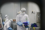 Эксперты Китая и ВОЗ завершили исследования источника происхождения коронавируса в Ухане