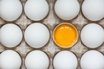 Генетически модифицированные куриные яйца содержат лекарство от рака