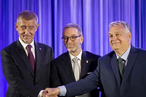 «Венское трио» – Европарламент под натиском евроскептиков